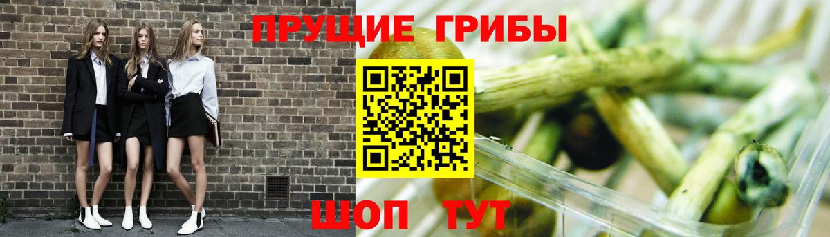 Псилоцибиновые грибы Magic Shrooms Стрежевой